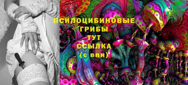 бошки Аркадак