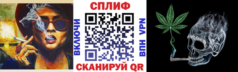 сколько стоит  Пугачёв  omg ссылки  Шишки марихуана семена 